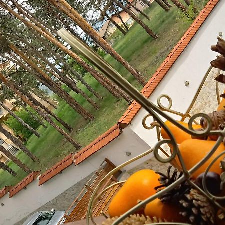 Апартамент Allegri Padrini Комплекс Вели Хилс Velingrad Kültér fotó